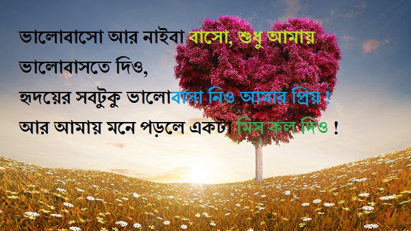 bangla misty premer sms