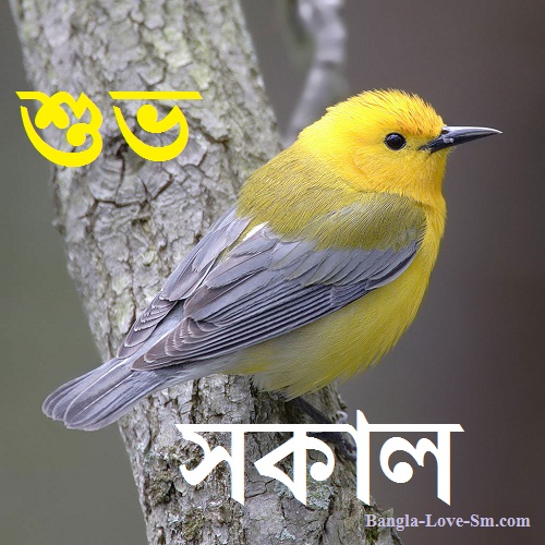 Bangla good morning sms