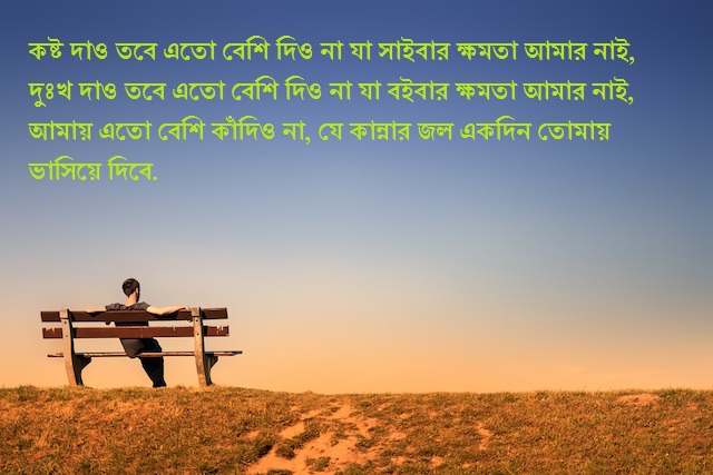 bengali sad shayari