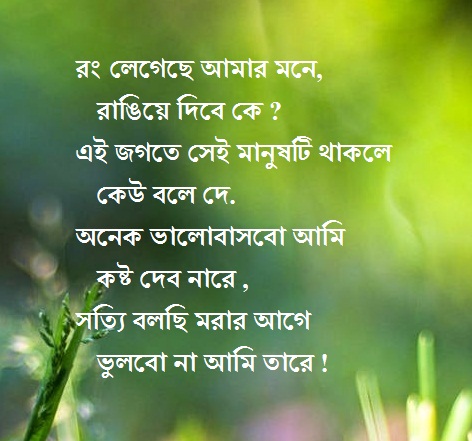 bengali love shayari