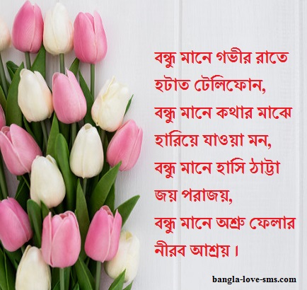 Bangla Friendship Sms For Friends Kobita Bengali Bondhutto Poem Quotes