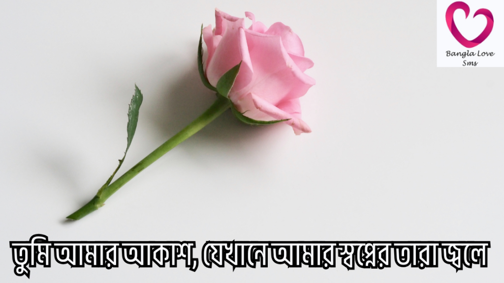 premer sms message