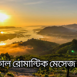 shuvo sokal niye romantic status