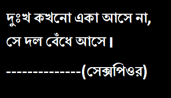 bangla sad status for whatsapp