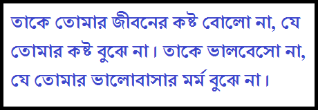 best bangla quotes