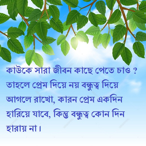 bengali shayari love