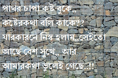 bengali shayari photo picture