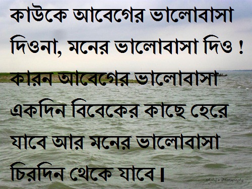 bengali shayari with picture