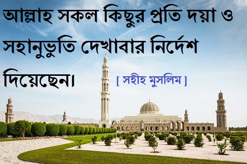 bangla hadis muslim