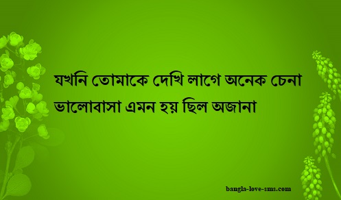 bangla picture with quote