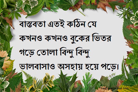 Bangla captions