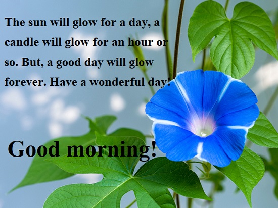 Good morning sms wish