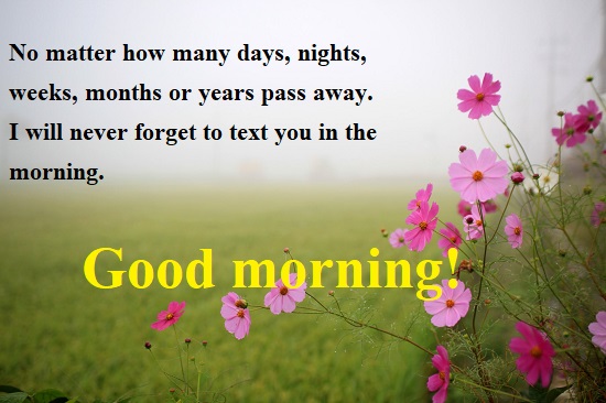 Best Good Morning Sms Collection With Nice Images Picture Photo