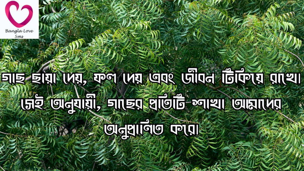 গাছ নিয়ে উক্তি