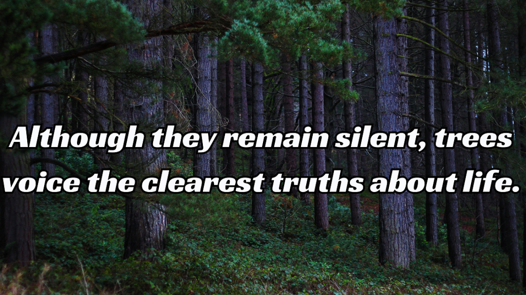 গাছ নিয়ে উক্তি