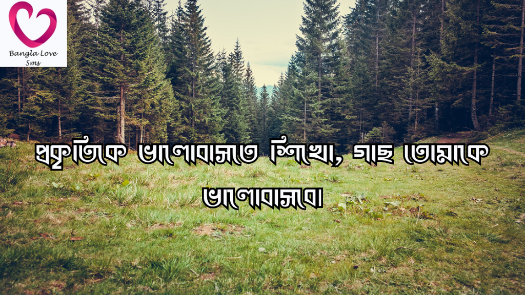 গাছ নিয়ে উক্তি