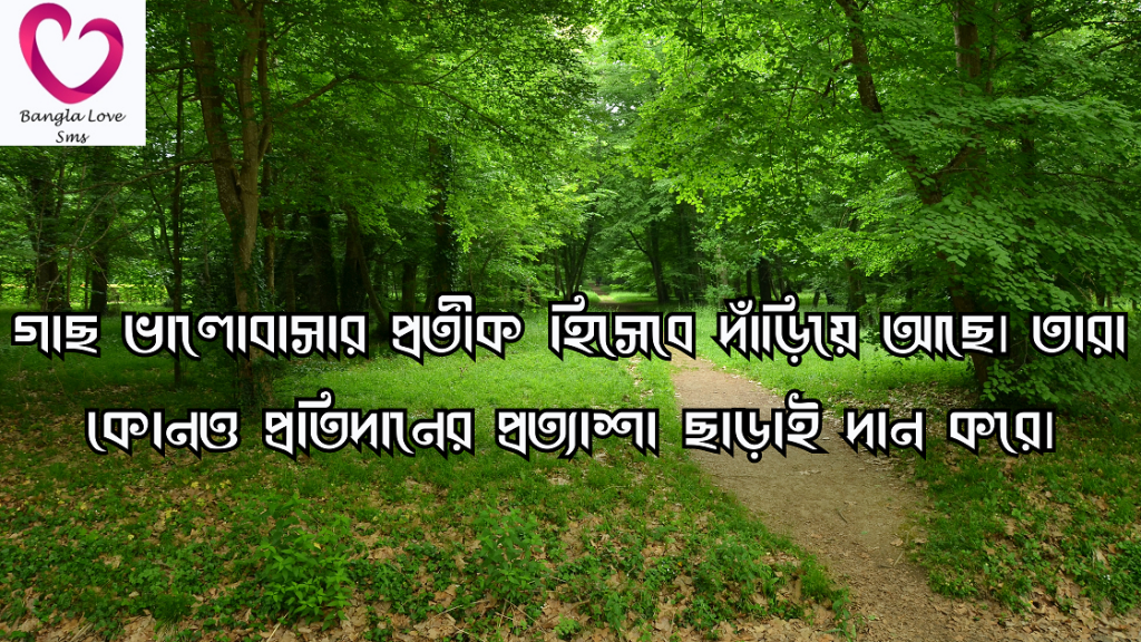 গাছ নিয়ে উক্তি