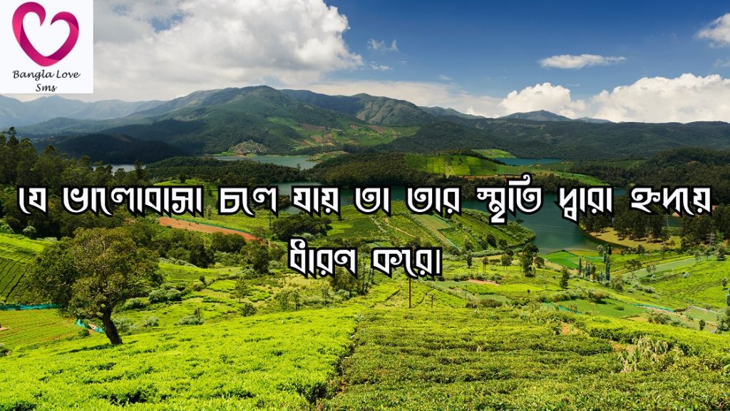 স্মৃতি নিয়ে উক্তি