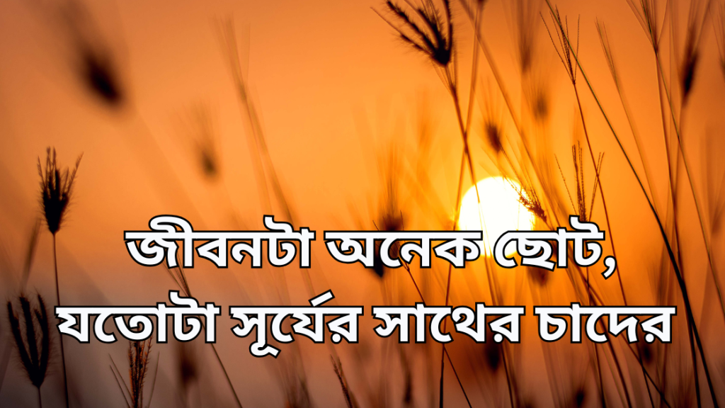surjo niye ukti