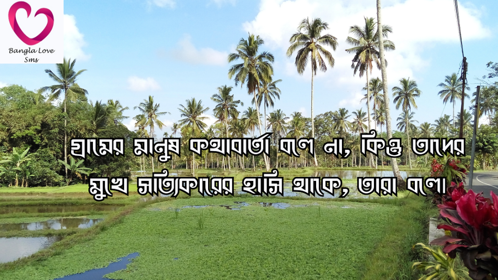 গ্রাম নিয়ে উক্তি