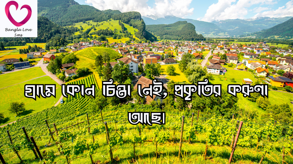 গ্রাম নিয়ে উক্তি