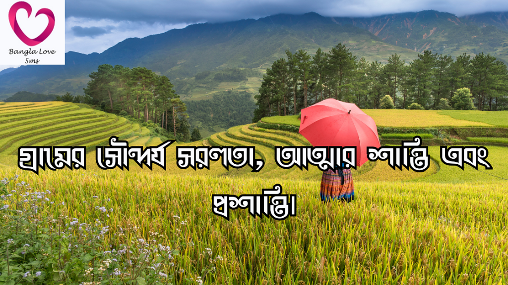 গ্রাম নিয়ে উক্তি