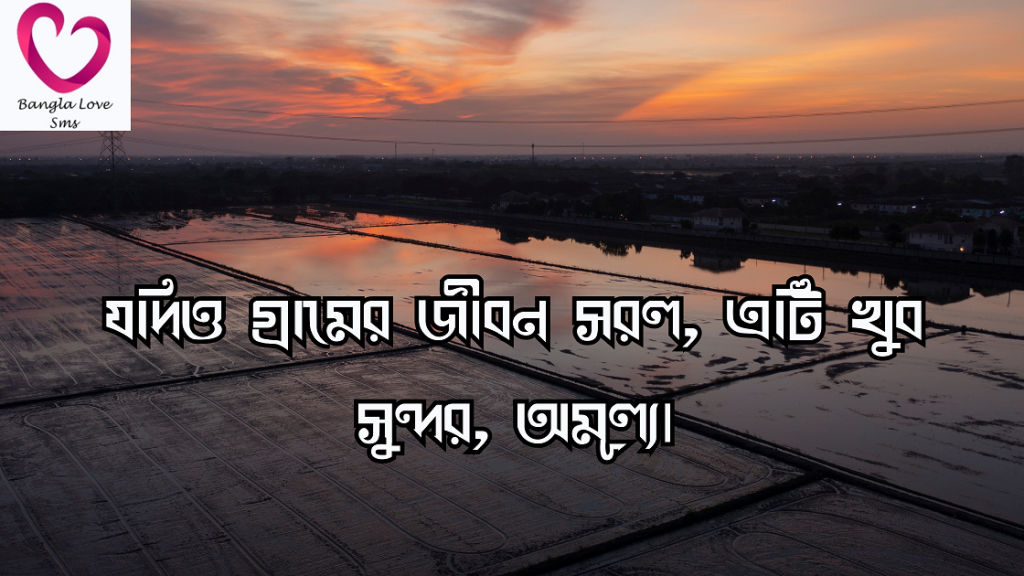 গ্রাম নিয়ে উক্তি