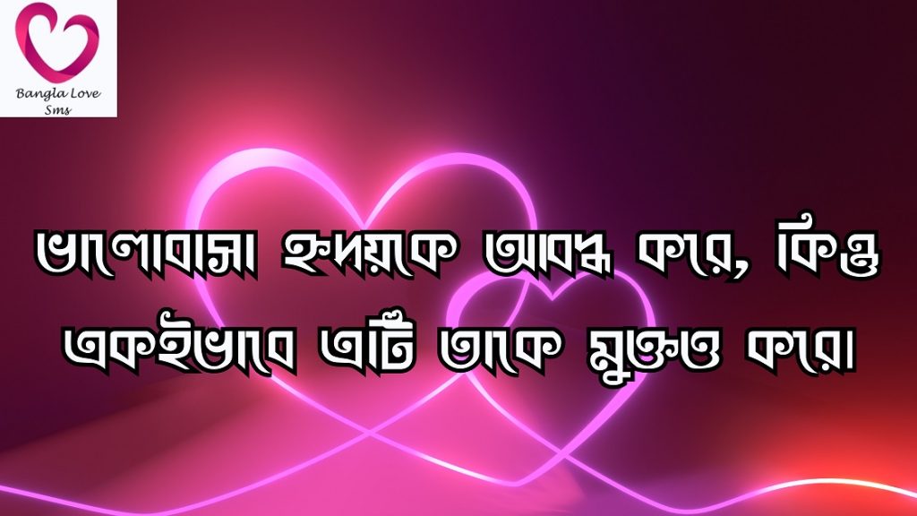 হৃদয় নিয়ে উক্তি