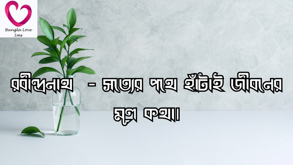 সার্থকতা নিয়ে উক্তি