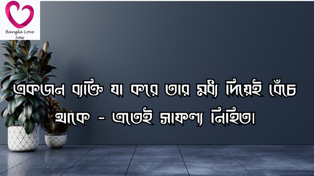 সার্থকতা নিয়ে উক্তি