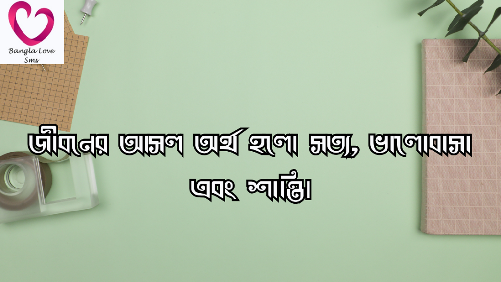 সার্থকতা নিয়ে উক্তি