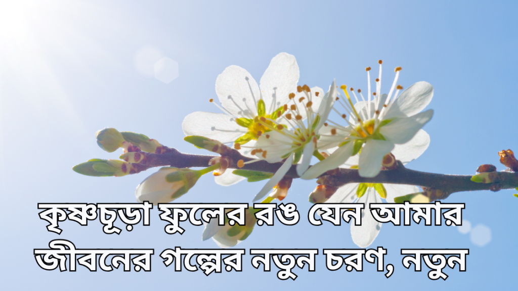 krishnochura-ful-niye-caption
