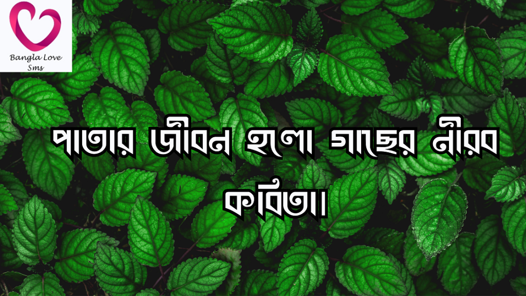 পাতা নিয়ে ক্যাপশন