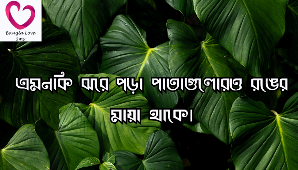 পাতা নিয়ে ক্যাপশন