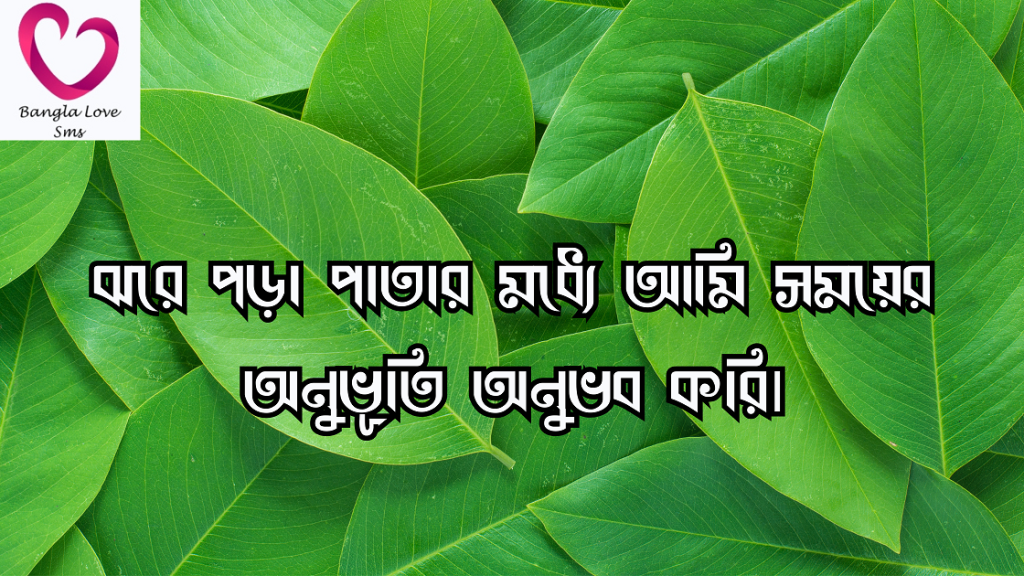 পাতা নিয়ে ক্যাপশন
