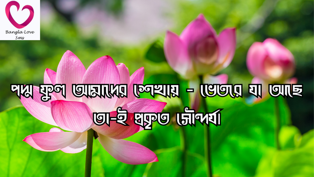 পদ্ম ফুল নিয়ে ক্যাপশন