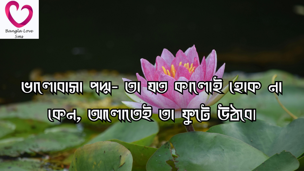 পদ্ম ফুল নিয়ে ক্যাপশন