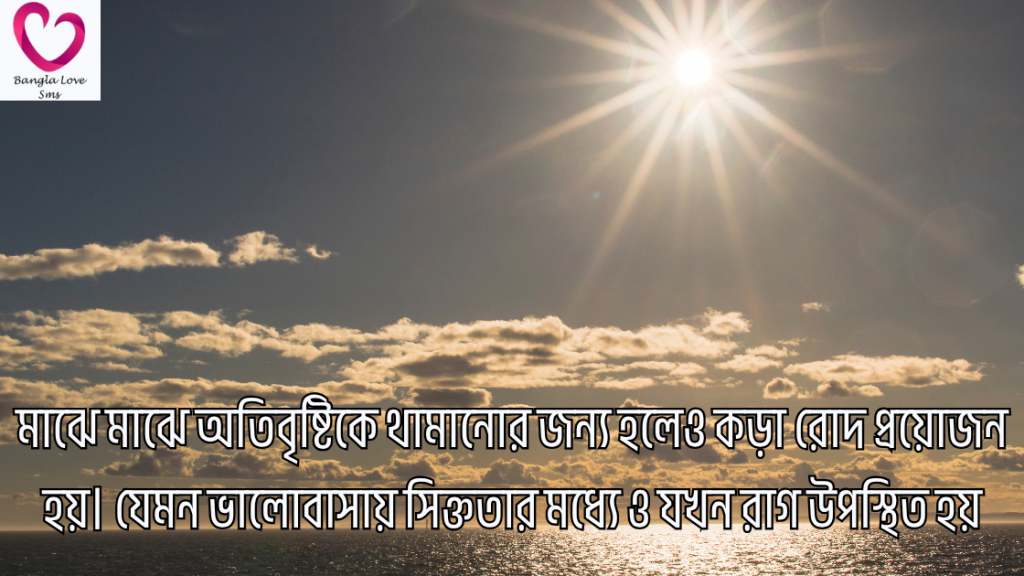 rod niye caption