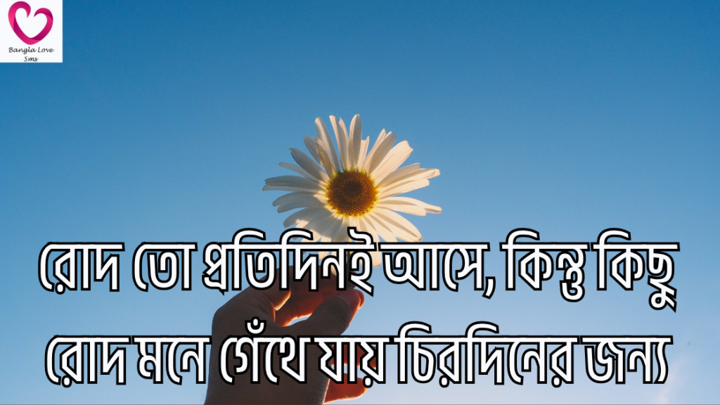rod niye caption
