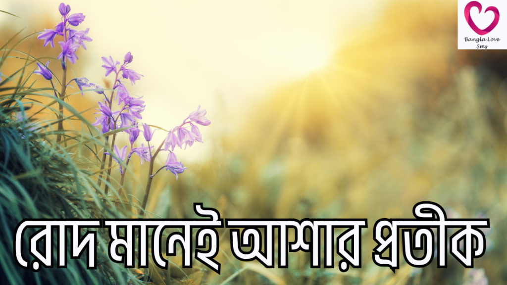 rod niye caption