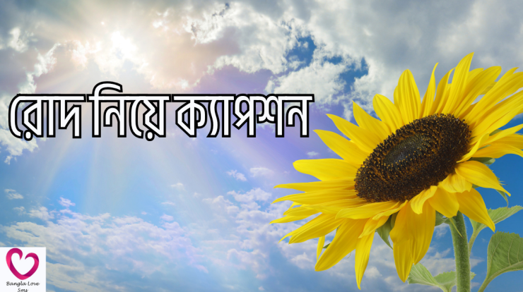 rod niye caption