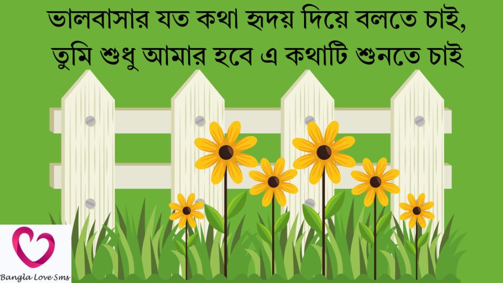meye potanor message