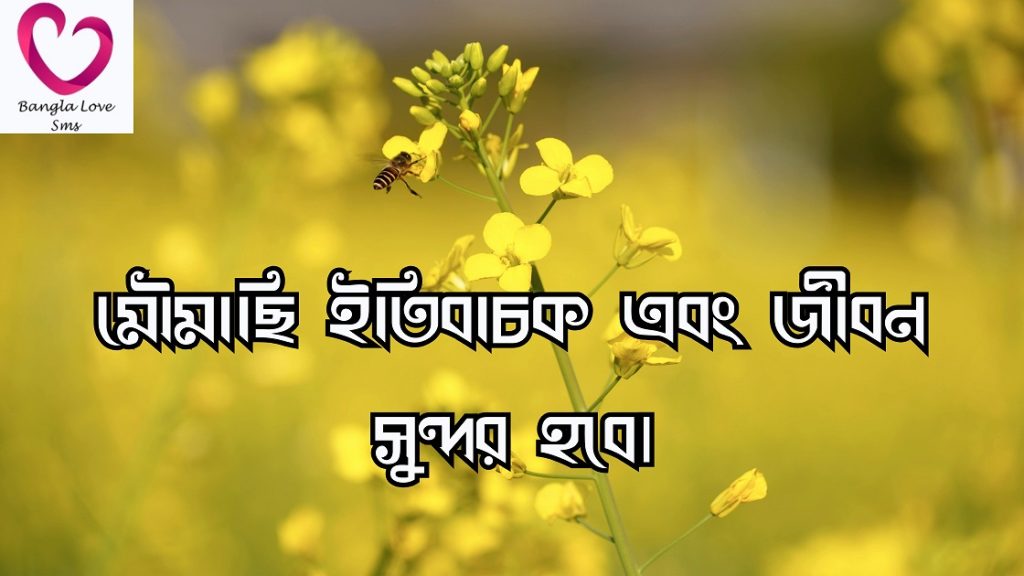 মৌমাছি নিয়ে উক্তি