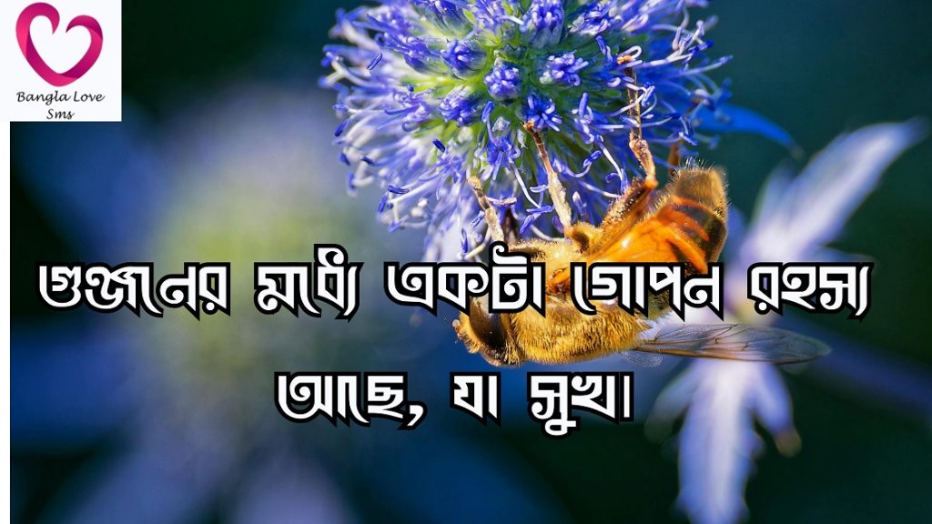 মৌমাছি নিয়ে উক্তি