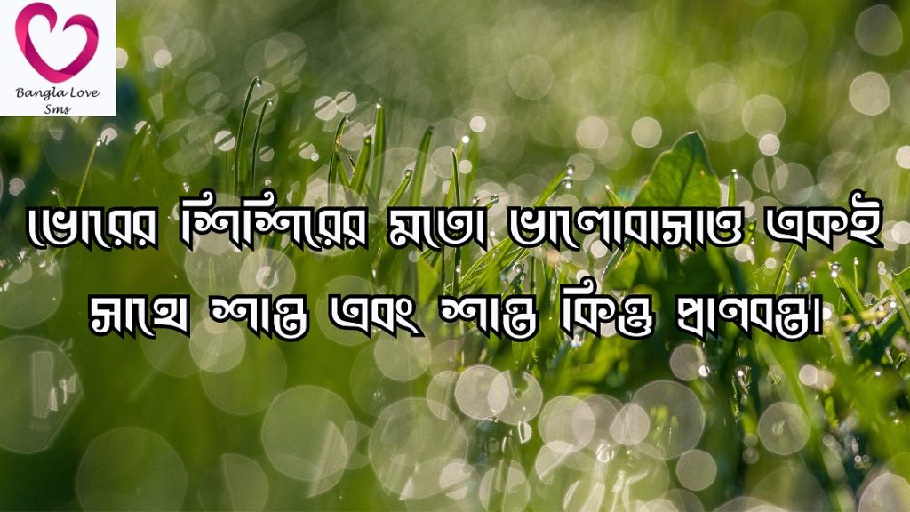 শিশির ভেজা ঘাস নিয়ে ক্যাপশন