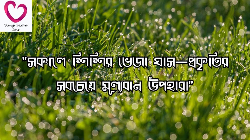 শিশির ভেজা ঘাস নিয়ে ক্যাপশন