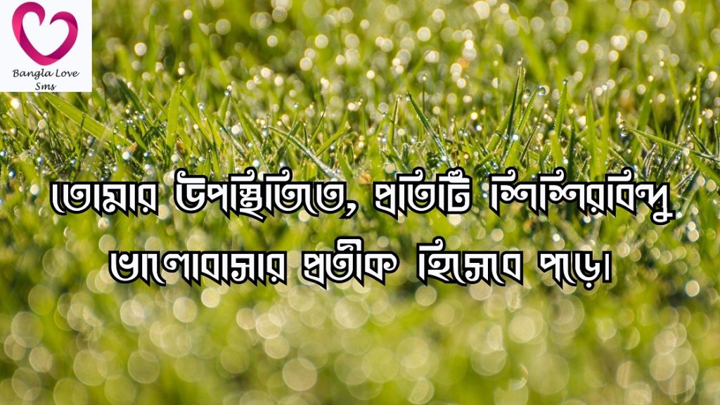 শিশির ভেজা ঘাস নিয়ে ক্যাপশন
