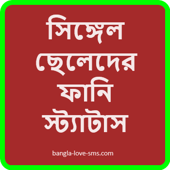সিঙ্গেল ছেলেদের ফানি স্ট্যাটাস