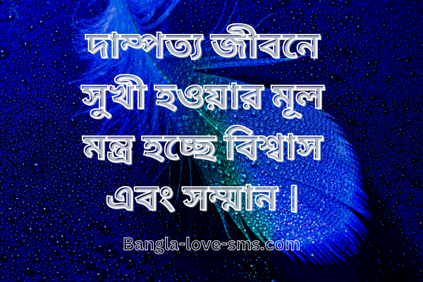 দাম্পত্য জীবন নিয়ে স্ট্যাটাস