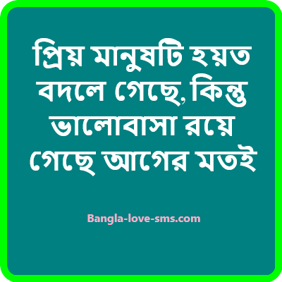 প্রিয় মানুষের বদলে যাওয়া নিয়ে স্ট্যাটাস